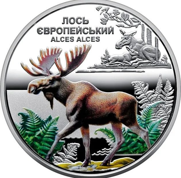 5 Grivnas de Ucrania 2025 Alce europeo Reverso