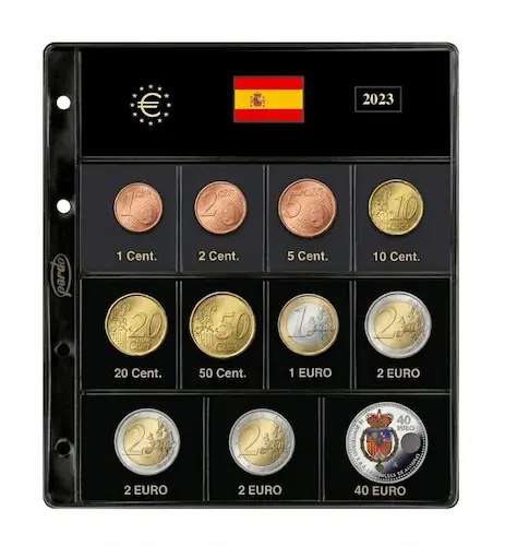 Funda Pardo con monedas completas