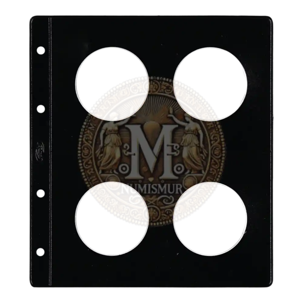 Funda monedas claraboya Pardo 4 alojamientos ref. 66900